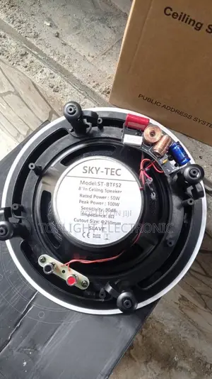 100 Watts Ceiling Speaker