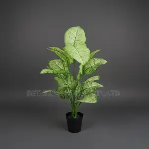 Artificial Taro Plant 75cm – Light Green Tropical Faux Plant