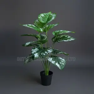 Artificial Taro Plant 80cm – White Tropical Faux Leaf Décor