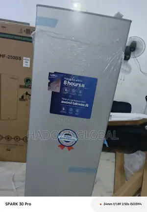 Vertical Freezer – Haier Thermocool, 250-litre Capacity