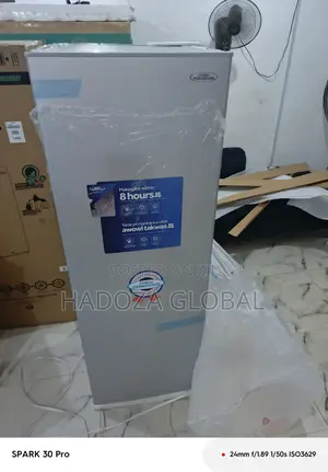 250l Haier Thermocool Freezer – Upright For Bulk Storage