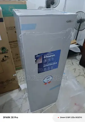 Haier Thermocool – 250l Capacity Upright Unit