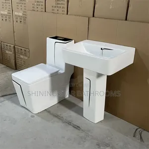Dragon White Toilet Set With Black Stripe