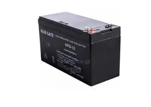12v9a Bluegate Battery