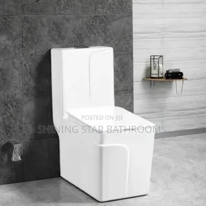 Dragon White Toilet Set With Basin