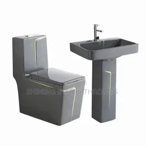 Dragon Grey Toilet Set With Basin