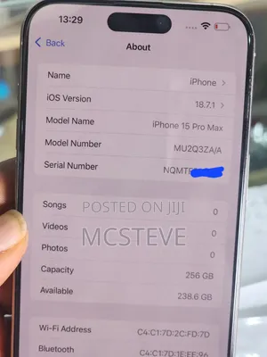 Apple iPhone 15 Pro Max 256 GB Gray