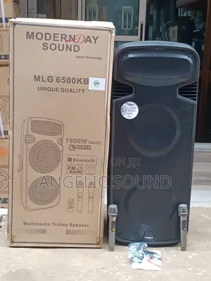 Modern Day Double 15 Inches Rechargeable Speaker,Model No MLG 6500kb