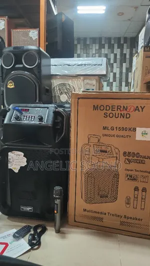 Modern Day Public Address System 15 Inches Model No 1590kb