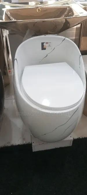 Marble White One Piece Toilet