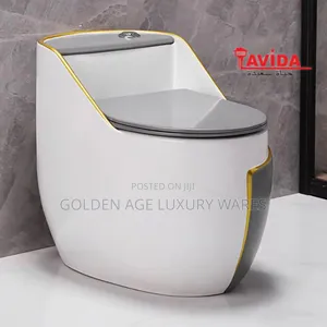White and Grey One Piece Toilet