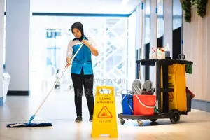 Home Cleaning