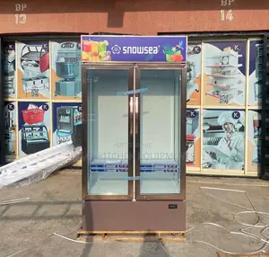 Double Door Snowsea Display Chiller
