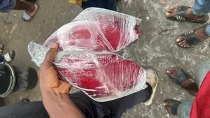 Bumper Reflector Rx350 2010