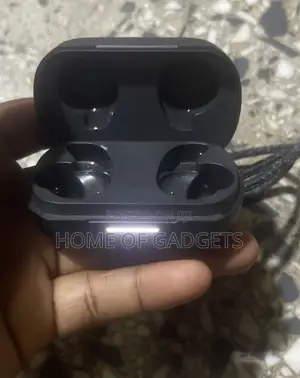 JBL RFL Flow Pro Charging Case