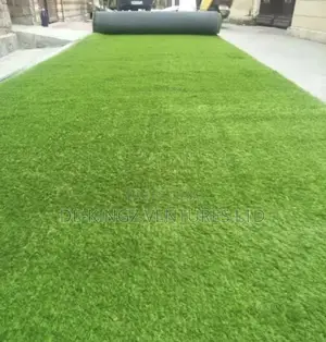 That Ccarpet Ggrass Grass Carpet Best