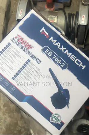 Electric Hand Blower