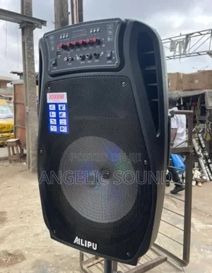 Ailipu 15 Inches Rechargeable Speaker Model 3510d