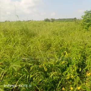 C of O Certificate Swaps Vehicle Eleko