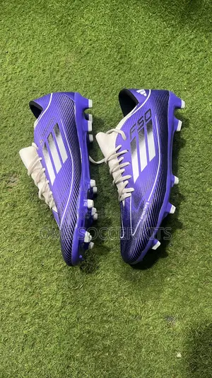 Adidas F50 Sprintwfb (45)
