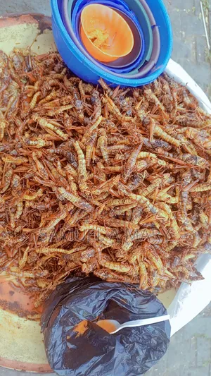 Grasshopper (Fara)