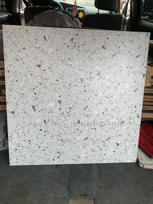 60x60 Terrazzo Design Tile