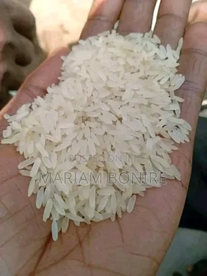 Nigeria Clean,Destoned Rice