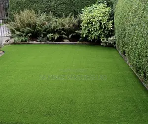 Realturf Produced Highest Quality Carpet Turf Grass Astroturf Best