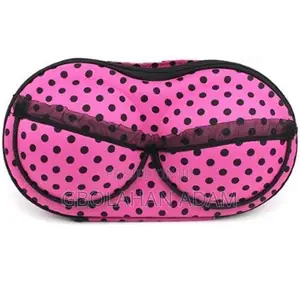 Bra Travel Case and Protector