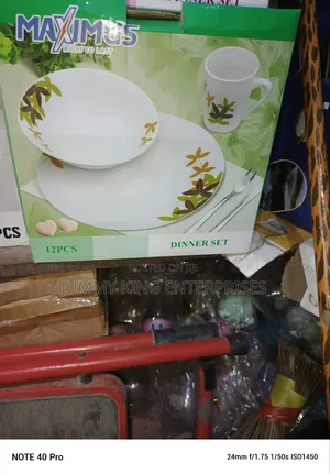 12 Pieces Dinner Set