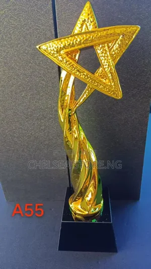 Two Different Trophies Award