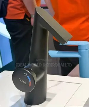 Black Mixer Tap