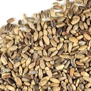 Milk Thistle Seeds -100g