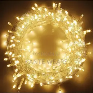 Festive Glow 100 Multi-Function Led Christmas Light - 1pc