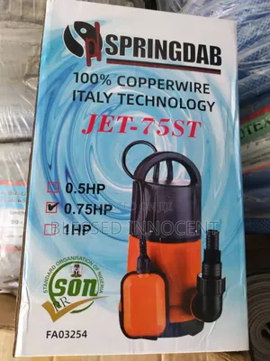 0.75 Hp Sewage Pump