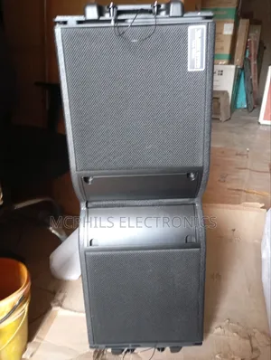 Black Star 12 Inches Line Array Speakers