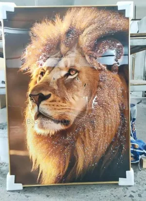 60x120cm Led Frame Light