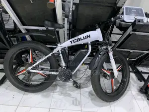 Electric Big Tyre Bicycle