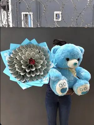 50cm Teddy Bear and Money Bouquet for Her.