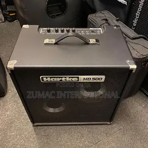2 in 1 Bass Combo