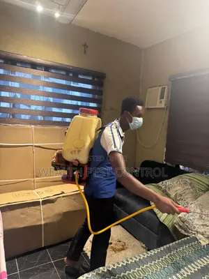Fumigation Of All Kinds Of Pests