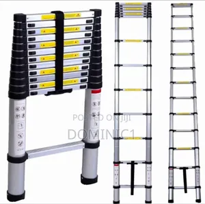 Extension Aluminum Ladder 12 Steps
