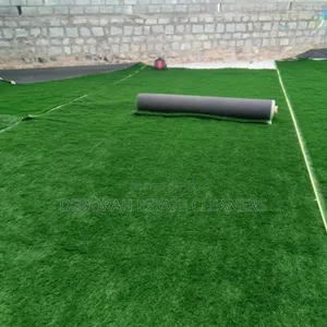 Excellent Carpet Grass Installation