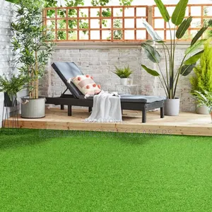Africa Best Carpet Grass Installers