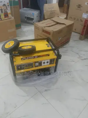 Elepaq Sv22000e2 – Key and Rope Start Dual Convenience
