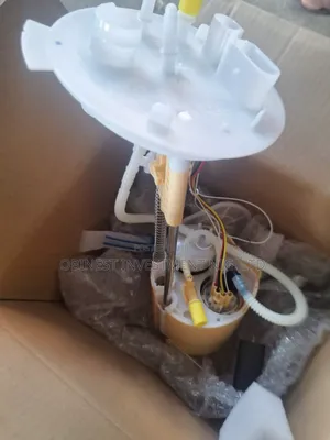 Fuel Pump Range Rover Vogue Vdo 2020