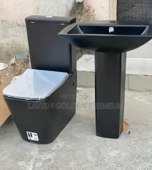 Black Water Closet With Basin and Pedestria