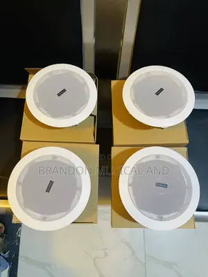50 Watts 4 in One Bluetooth Ceiling Speaker With Remote