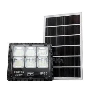 Proton 400w Solar Floodlight