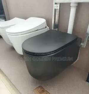 Big Executive Wall Hung Wc
